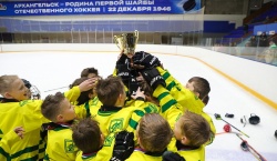 Команда «УЛК Вельск» – победитель первенства области по хоккею