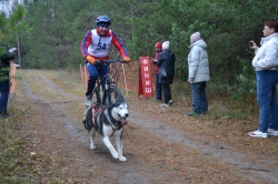 На юге Поморья прошли региональные соревнования по ездовому спорту