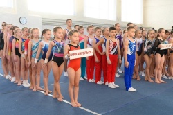 В Поморье определили сильнейших гимнастов региона